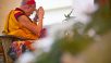 Teachings at Tashi Khyil & Visit to TCV Selaquie